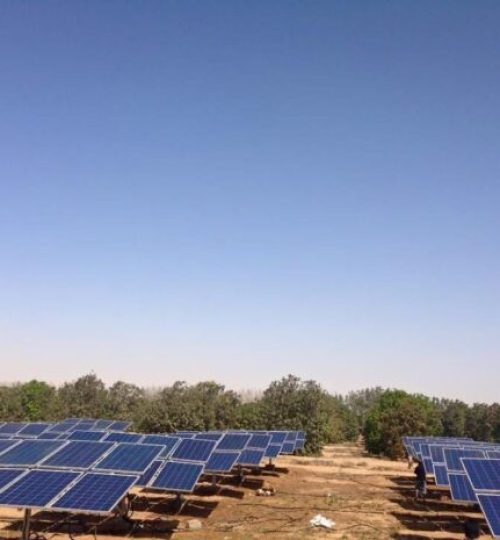 8cb07185 343e 470c bc4a 99e1fd75f621